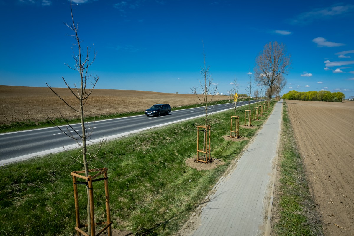 Zdjęcie przedstawiające samochód na drodze